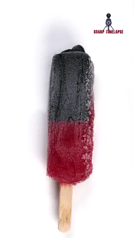 Ice Cream Melting TimeLapse