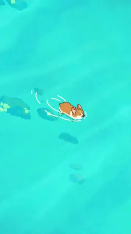 phát hiện một chiếc ảnh nền cute 🥰#viral #xuhuong #corgi #livephoto