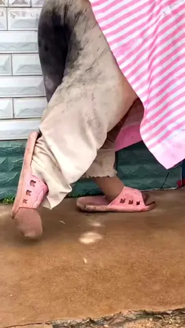 #dog #funny #fyp #fun #foryou #funnyvideos #funnyvideo #laugh 🤣🤣🤣