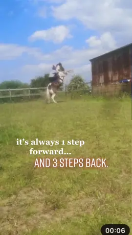so demotivating💔 #foryoupage #PerfectPartner #ITriedItIPrimedIt #horses #pony #horse #1stepforward3stepsback #showjumping #show #jumping #rearinghorse #rearing #rear #rearer #welshcob #welsh #cob #welshdragon #welshattitude