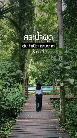 #สระน้ำผุดจะอยู่ข้างใน#สระมรกต น้ำใส สีฟ้า สวยยยย จะเห็นน้ำผุดตลอดเวลา #เที่ยวกระบี่ #แดดลมฝน