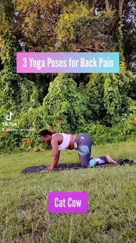 #yogabenefits  #lorylacefit #yogaposes #yogaforbackpain #newyoutubevideo #newyoutubevideo #yogaflow #fitspo #fitthick #fitmom  #blackyogalife #yogapractice #yogaforhealth #iloveyoga❤️