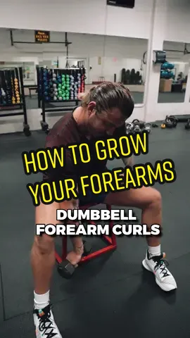 #forearmworkout #forearmstrengthener #bodybuild #weightlosstips #muscles