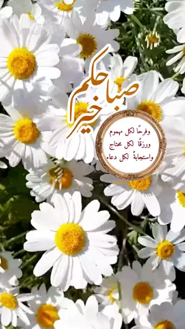 🤍صباح السعادة🤍#صباح_الخير #موسيقى #انا_عم_بحلم #ماجده_الرومي #صباح #الطرب_الاصيل #الزمن_الجميل #صباح_ومسا #goodmorning #tiktoker  #fyp #tiktok