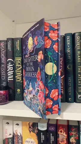 Literally! I got this from TheCraftyReader01 over on Etsy 🤓📚 #BookTok #booktoker #literallygorgeous #etsy #fyp #thecraftyreader01 #books #ilovebooks #sprayededges #daughterofthemoongoddess #suelynntan #bookhoarder