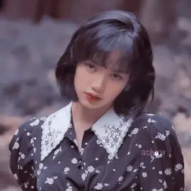 khi nhắc đến idol mang họ 