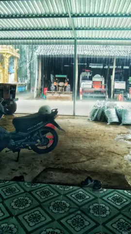 không cần giàu sang 💚☘️#xuhuong2022 #84travinh❤️