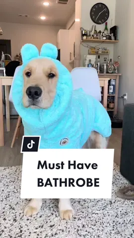 It’s the elevator music for me #goldenretriever #dogsoftiktok #dogmom #derpychappy #petparent #pupfluencer #amazondog #amazondogfinds #amazonfinds #dogproducts #dogproductreviews