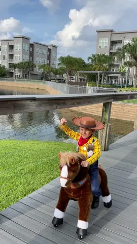 Woody and his horse Bullseye! 🤠🧡@PonyCycle #ponycycle #toy #toyforkids #toystory #woody #bullseye #disney