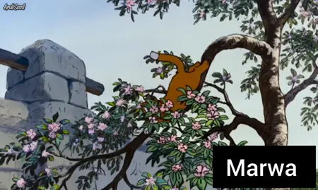 #قطط_ذوات_ديزني_بالعربي #كرتون #marwa_saad #اكسبلور_ #ومتابعة #بليززززززززززززززززززز🙏💖