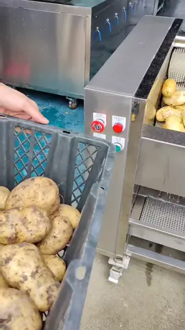 #kentang🥔 #fruit #potato #kulit #foodprocessor #washingmachine #cut #cutter #foodmachinery #mesin #kentang #washing #peelingmachine #goreng #fyp #vegetablecleaning #vegetable #foodprocessing #wortel🥕 #fruitcleaning