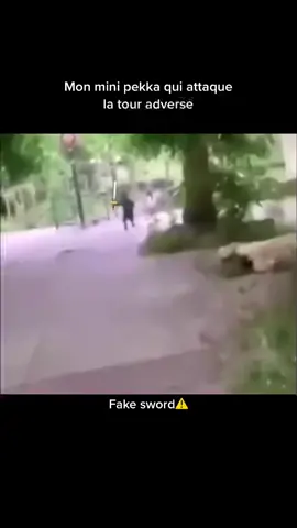 #pourtoi Fake sword⚠️