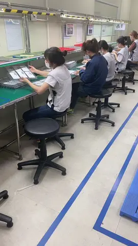 Công việc hàng ngày ăn rồi mới quản đội vịt giờ này 😁😁😁#samkwang_quang_châu