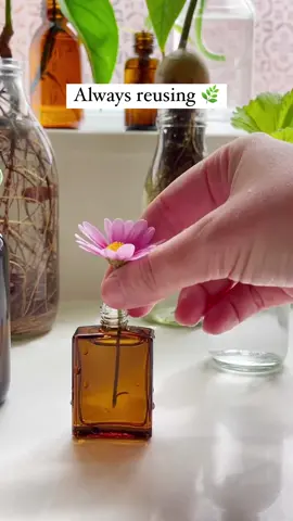 Where are my reusers at?💚🌿♻️#reducereuserecycle#reuse#reuserevolution #reuserevolution#myplasticfreehome#sustainable#plasticfree#sustainableliving