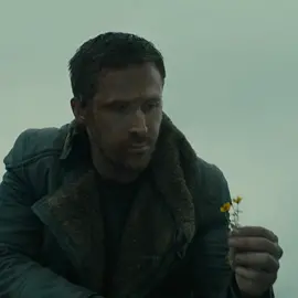 real #ryangosling #drive #bladerunner2049 #theplacebeyondthepines #movie #filmtok #sad #edit #fypシ #foryou