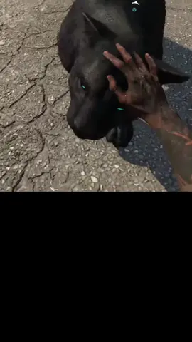 Essa pantera é muito linda nem parece que … #farcry #farcry6 #pantera #oluso       Se inscreva no canal no youtube, vai me ajudar muito. Nome do canal é LÚXX, vlw galera 🫡