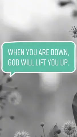 #YouSay by @Lauren Daigle is a song that always reminds me that whenever I am down, God will be there to lift me up! I hope this reminds whoever watches this video of this also! #amen #godbless #laurendaigle #God #christian #pray #fyp #foryoupage