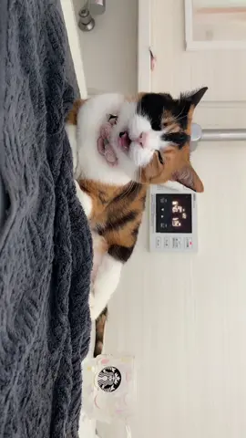 おっふろ〜