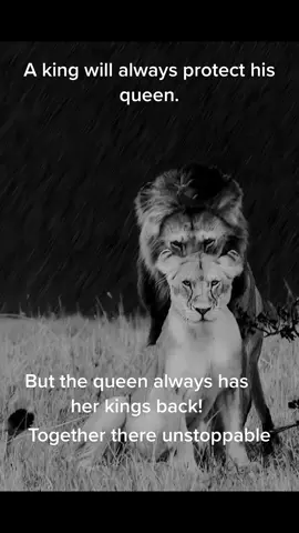 #queen #king #lion #protect #loyalty #lifequotes #fypシ゚viral #fypofficial #unstoppable #together
