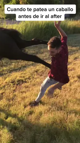 No molesten a los animales gente 🤦🏻‍♂️🤣 #viral #viraltiktok #fypシ #fyp #fypシ