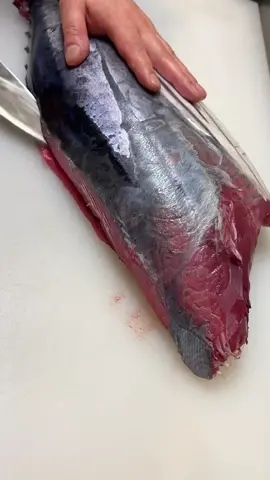 @dy56o5a6dvhu への返信 鰹の握り！へいおまち🐟😎 #寿司#カツオ#sushi#bonito