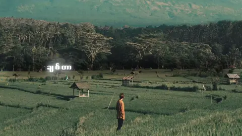 ဝိုင်ဝိုင်း | ဝဠ်ကြွေး