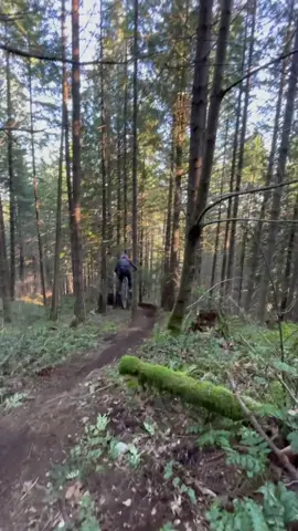 @Finn iles absolutely sent this one! 😅🙋‍♂️ #fyp #foryou #bike #cycling #mtb #mountainbike #wow #jump #trick #viral #Summer