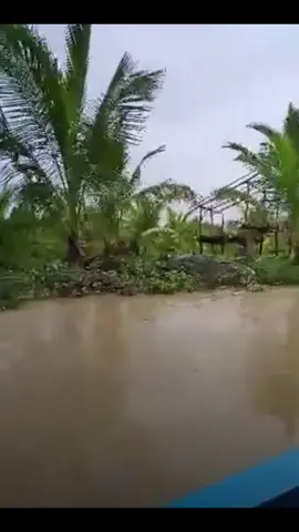 Hindi po ito fake Totoo po ito 🐊🐊🐊 #fyp #BalabacPalawan