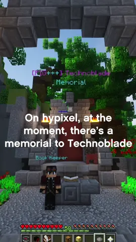 Rest easy Technoblade