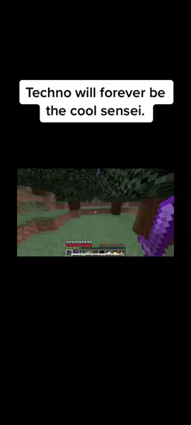 May he rest in peace, and may Ranboo carry out his main character arc. 🫡 #technoblade #technoclips #ranboo #Minecraft #riptechnoblade