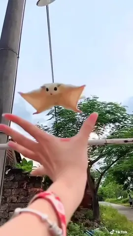 OMG this too much. Animals are the best ❤️😭🥰 #flyingsquirrel #socute #runningupthathill #dealwithgod #babyanimal #cutenessoverload