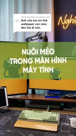 Trả lời @phuocc_04  hướng dẫn cách nuôi hoàng thượng trên màn hình máy tính nha. #nghiensetup #thanhcongnghe #mohinhtautitanic #muataitiktok #dcgr