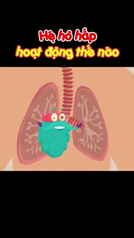 hệ hô hấp hoạt động như thế nào #yhoc #ykhoa #xuhuong #xuhuong2022 #cugiarautom