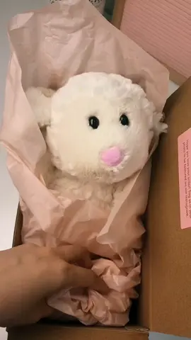 Reply to @emmahamar8  yes! The tulip sheep box🥰#sheeplover #sheepplushie #sheep #tulip #tulipcrochet #boyfriend #personalizedgifts #giftforher #giftideasforher #comfortplushie #birthdaygifts