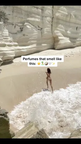 Perfumes that smell like a luxury beach resort ☀️🏝🥥🤍✨ Which one would you take on vacation with you? 💸 #perfume #perfumetok #perfumetiktok #perfumesinemojis #beachperfume #vacationperfume #coconutperfume #coconutscent #summerperfume #richperfume #perfumes #summerperfumes #vacationperfumes #beachvacation #atthebeachperfume #luxuriousperfume #richfragrance #elegantfragrance #elegantperfume