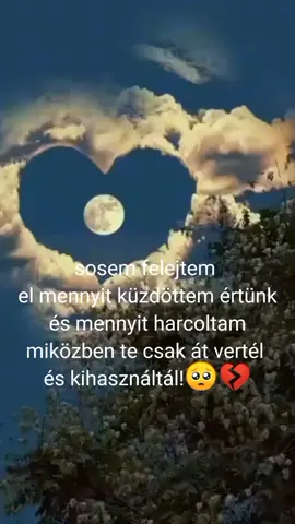 #CapCut #sosemfelejtemelaztanapot #fajnagyon🙂🖤 #megszakadaszívem🙄💔