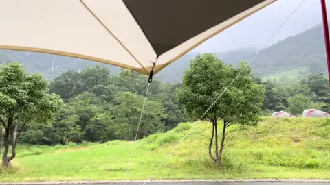 #レイニーブルー