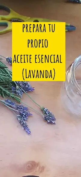 ojalá les sirva #aceite #hazlotumismo #DIY #aceiteesencial #flores #fypシ #hierbas