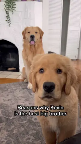 Kevy is the best big brother 🥹