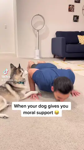 Hire me to motivate you to work out 🐶