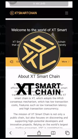 Bạn đã biết gì về XT Smart Chain của sàn giao dịch XT.com? #xtvietnam #xtcom #xtexchange