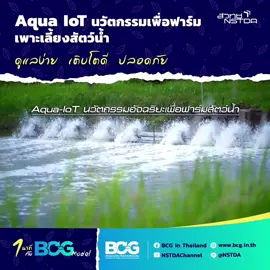 #1นาทีกับBCGmodel เนคเทค สวทช. พัฒนาระบบ Aqua-IoT นวัตกรรมอัจฉริยะเพื่อฟาร์มสัตว์น้ำ ซึ่งประกอบด้วย ระบบตรวจวัดคุณภาพน้ำ ระบบตรวจวัดสภาพอากาศเหนือบ่อเพาะเลี้ยง ระบบอ่านค่าสารเคมีภายในน้ำ ระบบตรวจ ติดตามการเติบโตของแบคทีเรียก่อโรค EMS และการเติบโตของจุลินทรีย์ที่เป็นประโยชน์ ช่วยให้เกษตรกรหรือผู้ดูแลฟาร์มเข้าถึงเทคโนโลยี