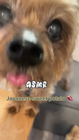 #fypシ