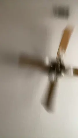 Im really an adult out here🤦🏽‍♂️ #earrien #career #son #school #summervibes