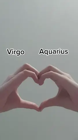 Reply to @ryry02100 #geminiandaquarius #bffs #fyp #zodiacsignsas