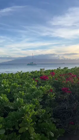 when the trip makes it out of the group chat #maui #hawaii #partone