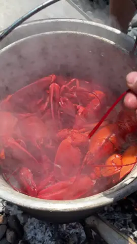 Happy #4thofjuly everyone! After fixing the boat we set out to a remote island for a #lobster #cookout. No lobsters were harmed in this video, or corn. #acadianationalpark #frenchmansbay #maine #207 #mainecheck #🦞 #mainelobster #cooking #seafood #freshseafood #ocean #lobstertok #independenceday #mainesummer