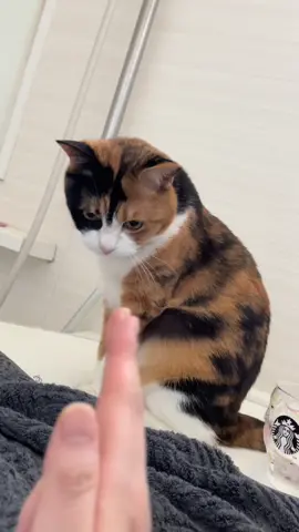 バンっ？