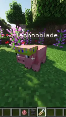 R.I.P Technoblade #o7 #mc #Minecraft