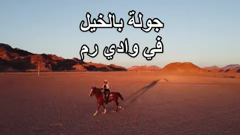 جولتي بالخيل في وادي رم 😍🔥🐎 (( الخيل عز للرجال اللي لهم باسٍ شديد 💪🏻 )) #صالح_اليامي #الاردن #السعودية #الخيل #اكسبلور #explore  #foryou #trending